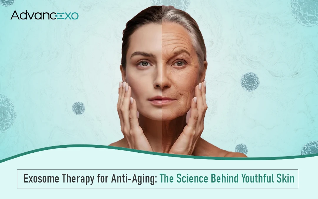 You are currently viewing Exosome Therapy for Anti-Aging: The Science Behind Youthful Skin
