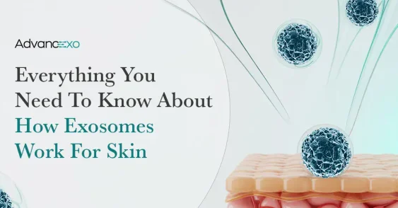 Everything You Need To Know About How Exosomes Work For Skin