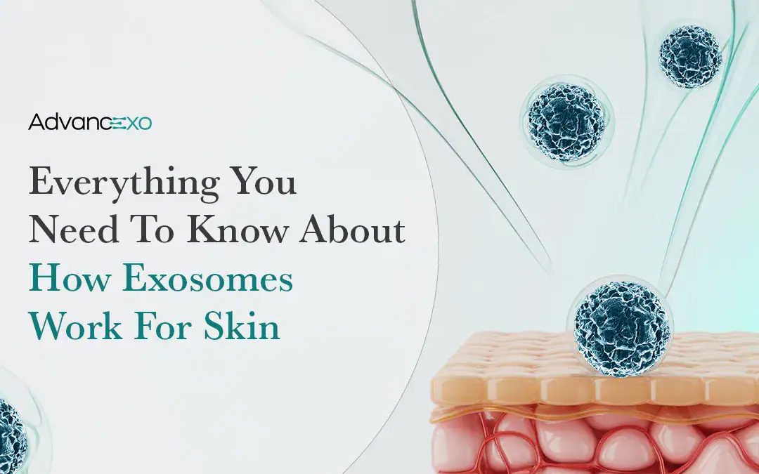 You are currently viewing Everything You Need To Know About How Exosomes Work For Skin