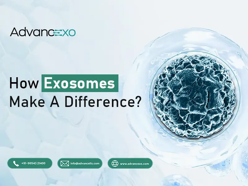 Exosomes