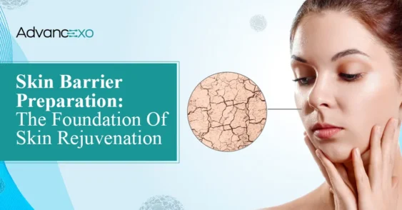 Skin Barrier Preparation: Building the Foundation for Better Skin