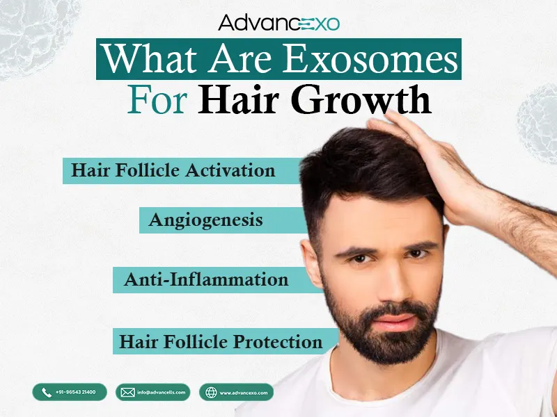 Exosomes-for-Hair-Growth