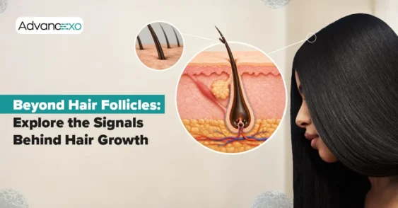 Exosomes for Hair Growth: The Science Behind the Treatment