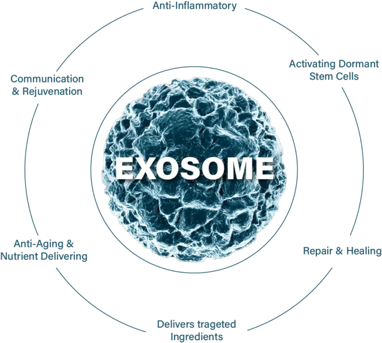 Exosome-Home