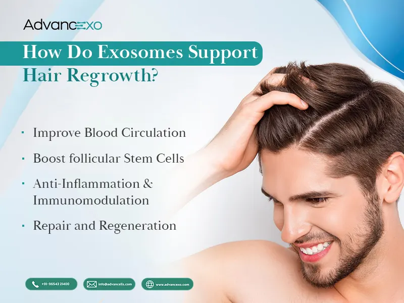 Exosomes-Support-Hair-Regrowth