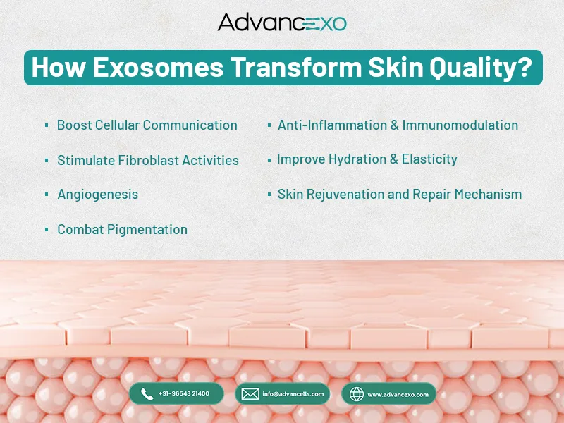 Exosomes-Transform-Skin-Quality