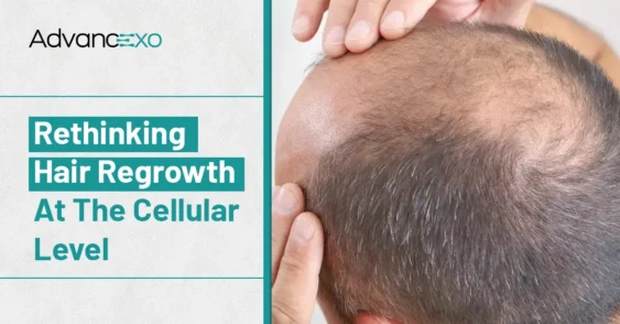 Can Exosomes for Hair Loss Stimulate Hair Growth?