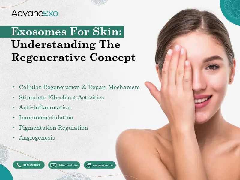Exosomes-for-Skin-Understanding-the-Regenerative-Concept